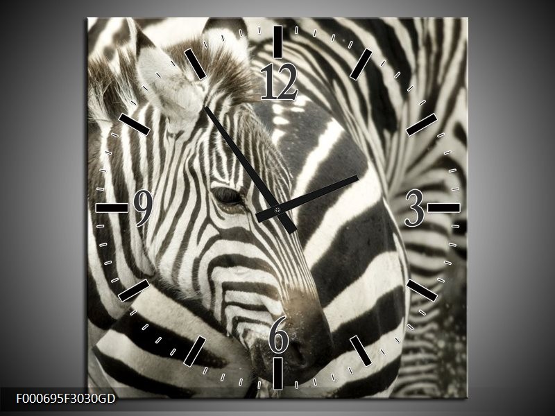 Wandklok op Glas Zebra | Kleur: Zwart, Wit, Grijs | F000695CGD