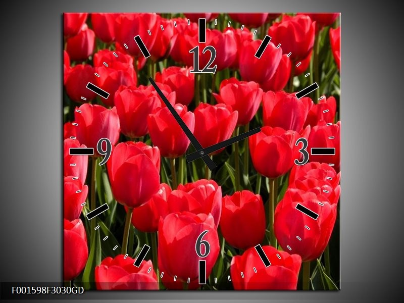 Wandklok op Glas Tulpen | Kleur: Rood, Groen, Grijs | F001598CGD