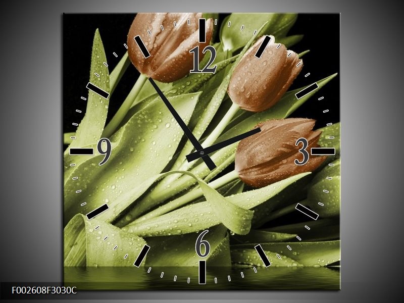 Wandklok op Canvas Tulp | Kleur: Groen, Bruin, Zwart | F002608C