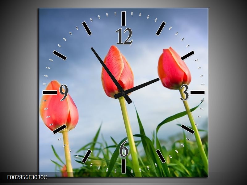 Wandklok op Canvas Tulpen | Kleur: Rood, Blauw, Groen | F002856C