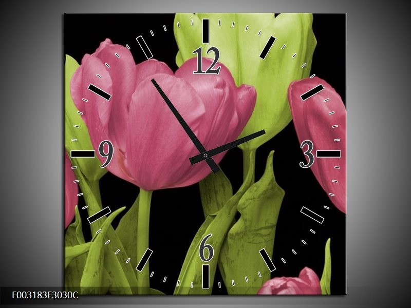 Wandklok op Canvas Tulpen | Kleur: Roze, Groen, Zwart | F003183C