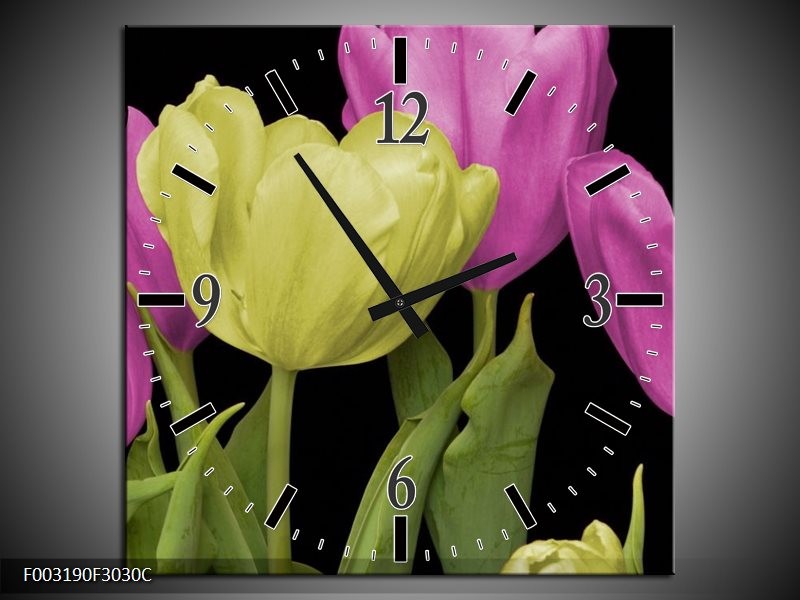 Wandklok op Canvas Tulpen | Kleur: Paars, Groen, Zwart | F003190C