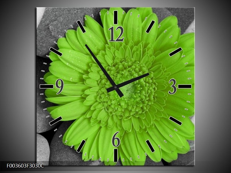 Wandklok op Canvas Bloem | Kleur: Groen, Grijs | F003603C