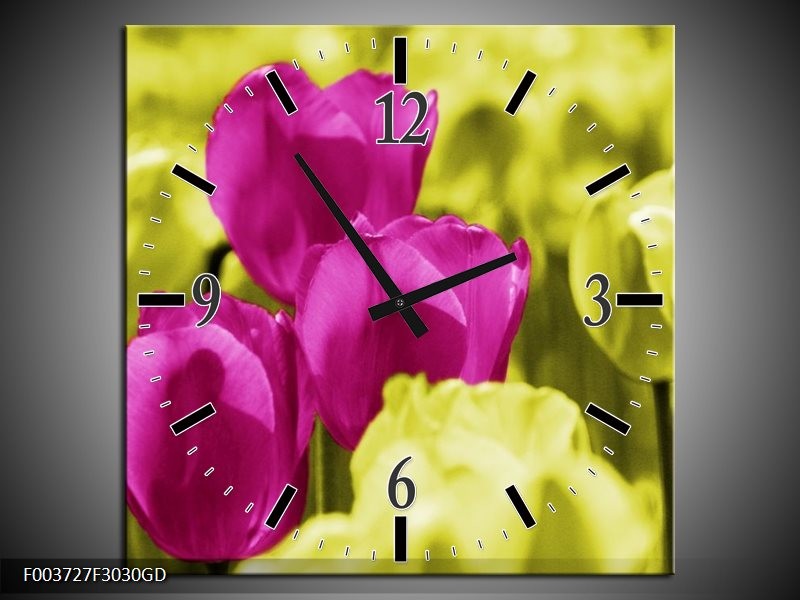 Wandklok op Glas Tulp | Kleur: Roze, Groen, Wit | F003727CGD