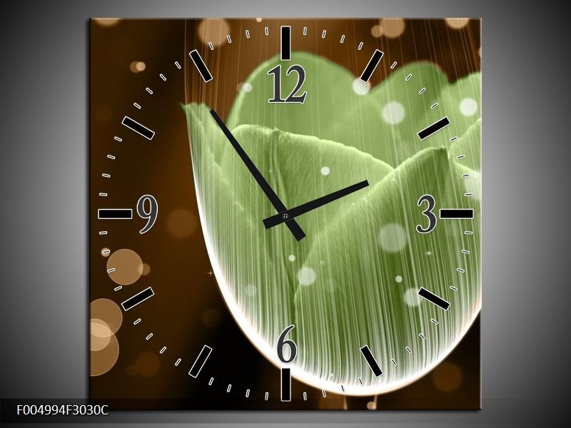 Wandklok op Canvas Tulp | Kleur: Groen, Bruin | F004994C