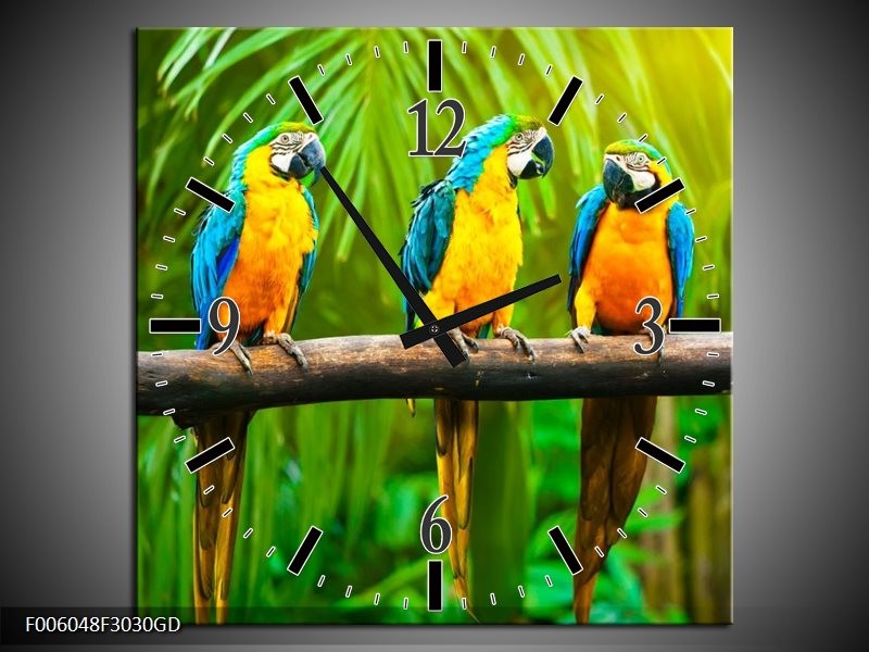 Wandklok op Glas Vogels | Kleur: Groen, Oranje, Blauw | F006048CGD