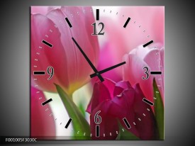 Wandklok op Canvas Tulp | Kleur: Rood, Groen, Wit | F001005C