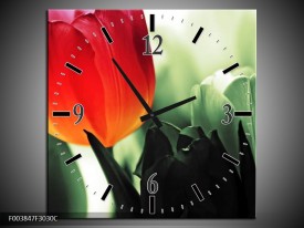 Wandklok op Canvas Tulp | Kleur: Rood, Groen, Zwart | F003847C