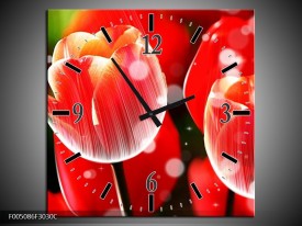 Wandklok op Canvas Tulp | Kleur: Rood, Wit | F005086C